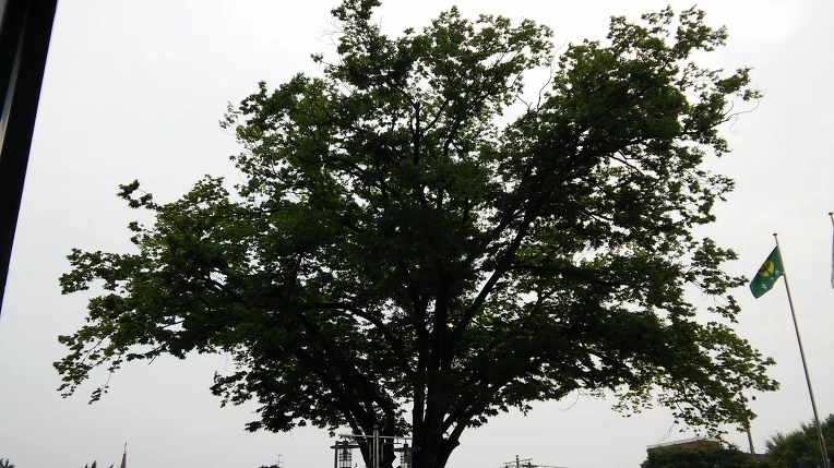 21756C505786BF31021C5E