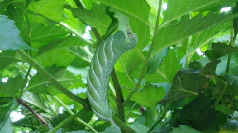 234F933C57BFDE79375317