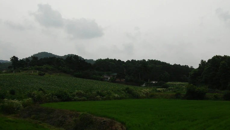 2257153E57788FF602D90A