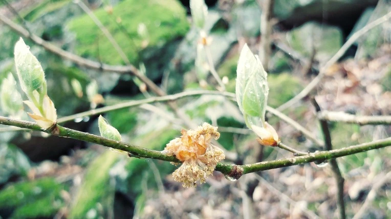 99072D415EBE1C7A27DFF0