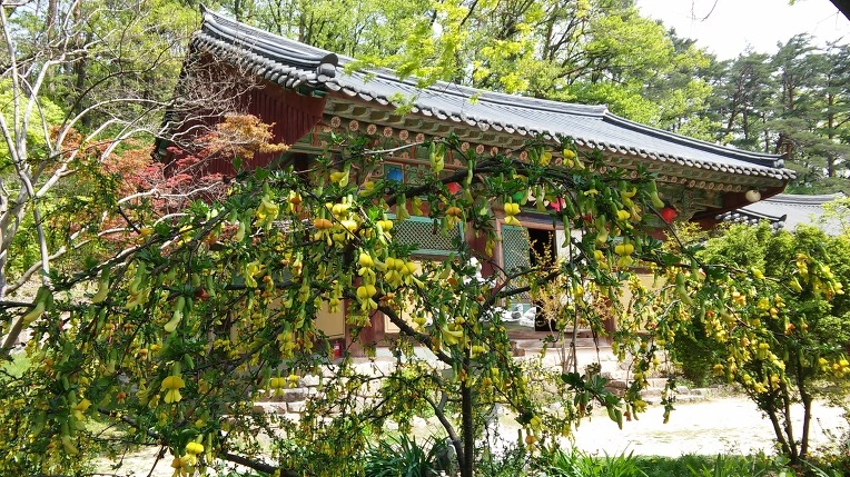 2505BC4A58FFC37038A4DD