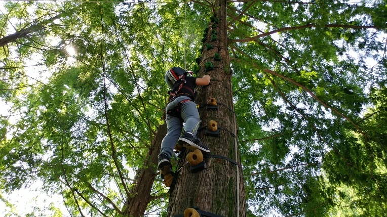 9923133F5B57BEB619567C