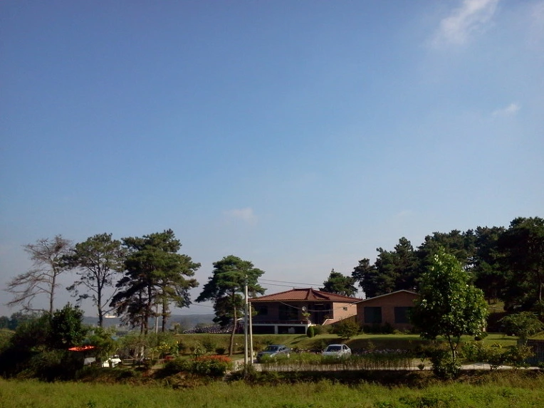 14477C394E66D84B1BD4EA