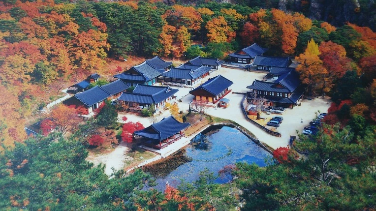 254CD04358FFC4350F7A7B