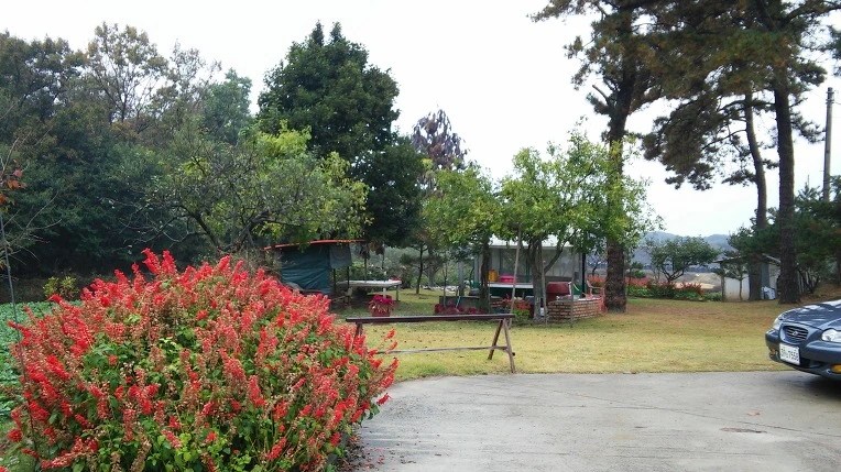 224C9A3F58217A891B77B4