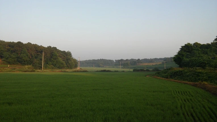 2132AE50576F7CEB03B9A9