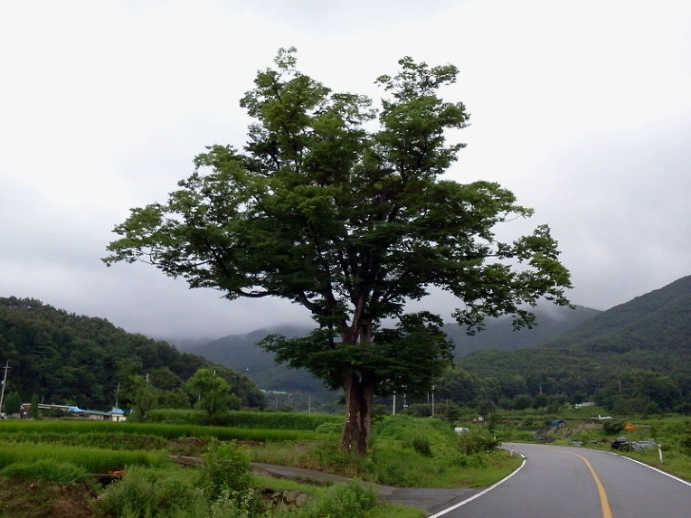 22445B48547F927C22DBE9