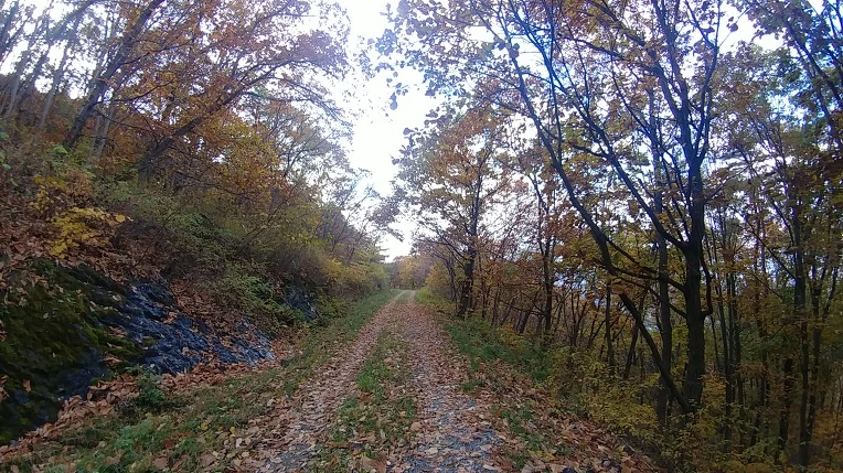 99268C365BD6ADB121F9BA