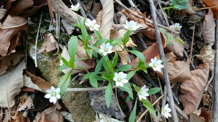 999DD83A5AD54AE71C85A1