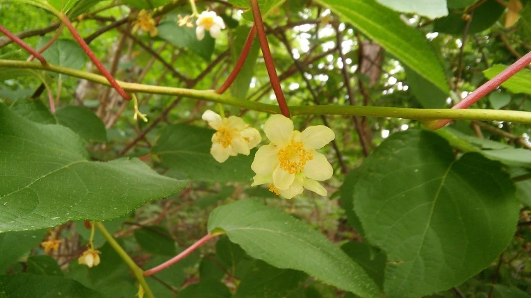 22340F4759557B9E21466D