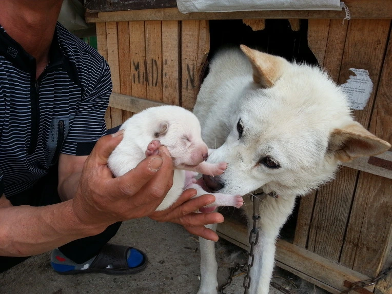 27559D3A51B7EB632E8B6F