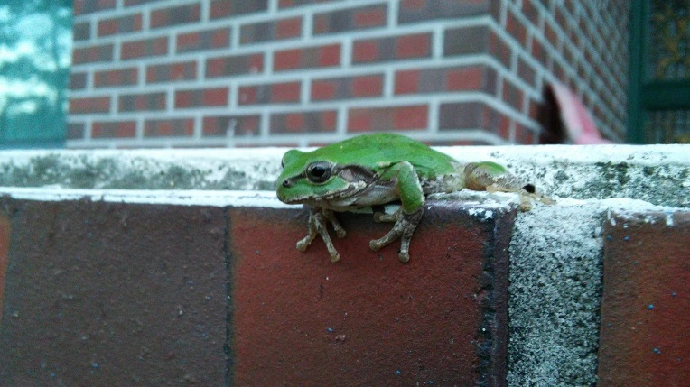 255D8A3657C3996134731D