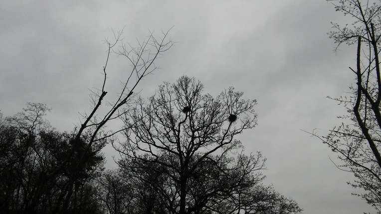 2766A44957059CF62D13F7