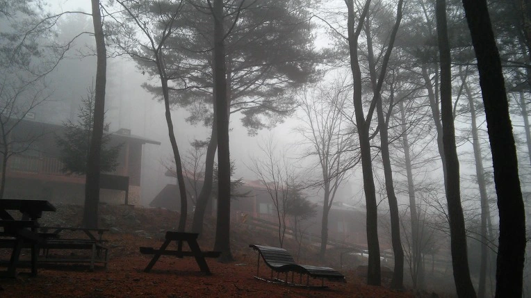 236E584D56DA7C2614E928