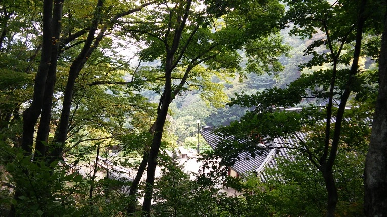 2739A846560FBC6B25E4DE