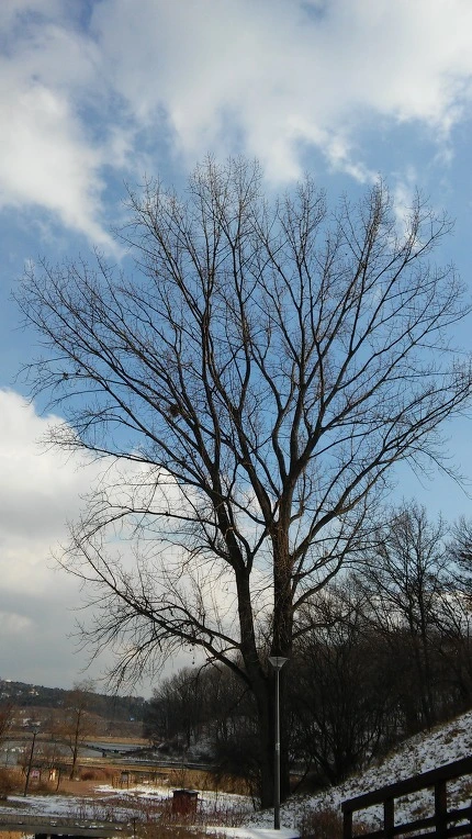 2760C74E5878B28B28E5FE