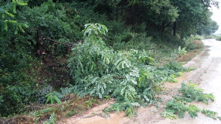 224E0643577707140B0DEF