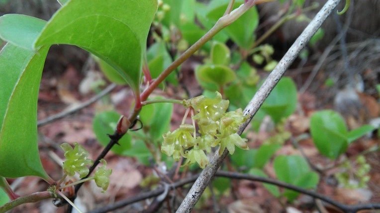 241B484B571ACF061E348F