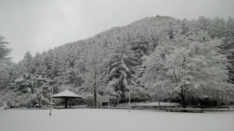 2703703C565F93F31C631A