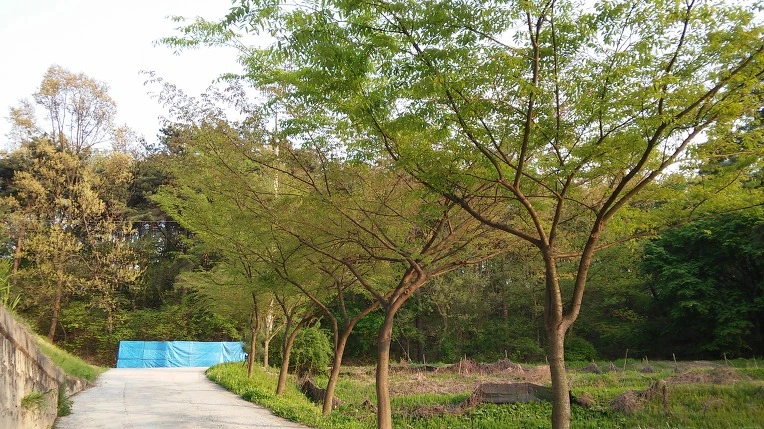 262A5438571DF4402F08CB