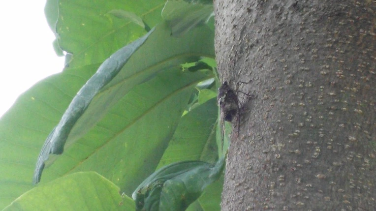 25297F3F578C5D5B0F30FE