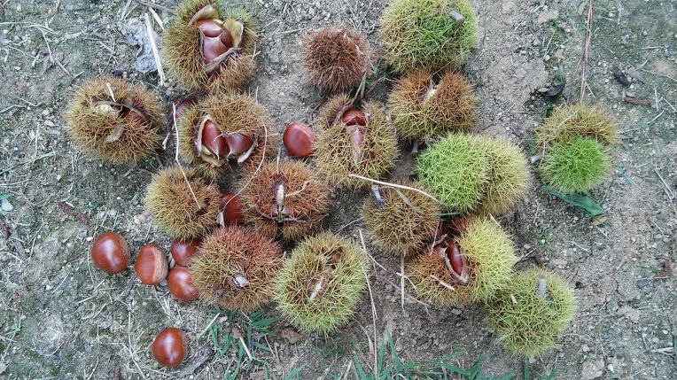 243FDD4E57DE02232E8551