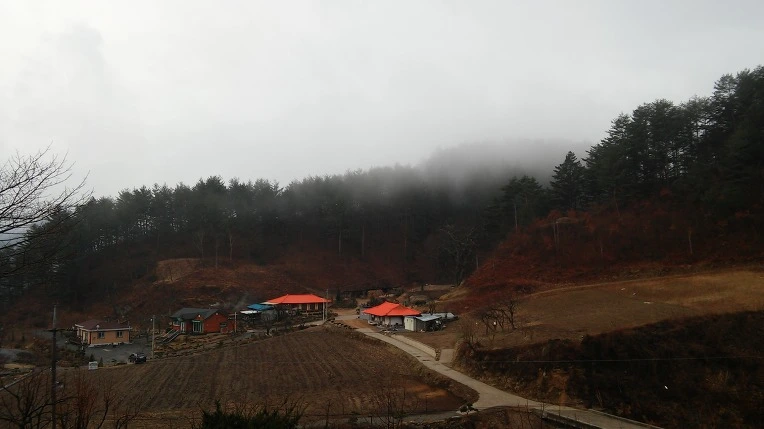 256B583E58D70B8E236207