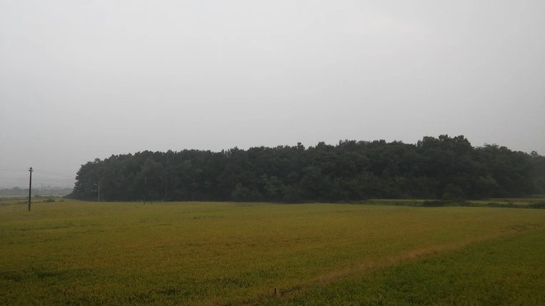 2607F63757D0B588217E77