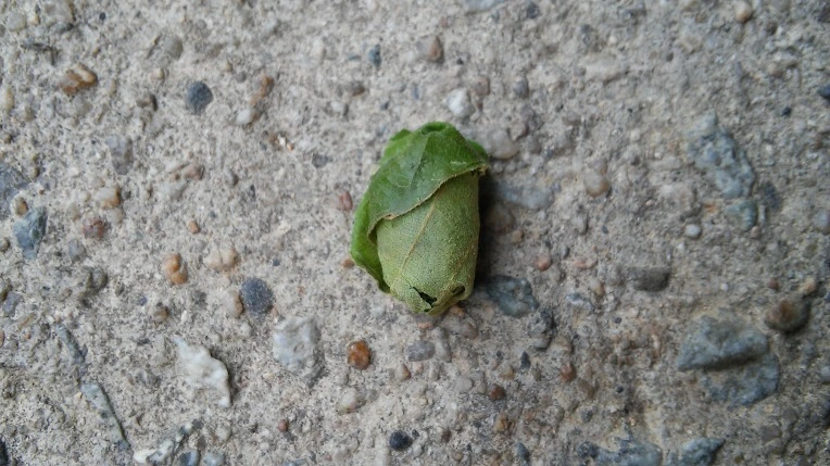 260B22415768A64F034B8F