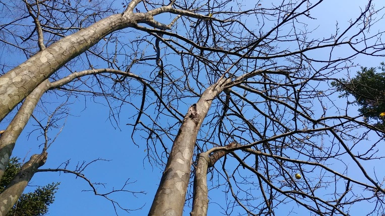 99640C425BEB80E014F8CB