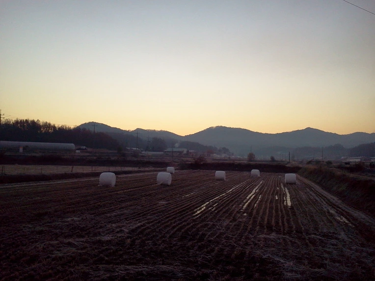 143D713F509365B4037E24