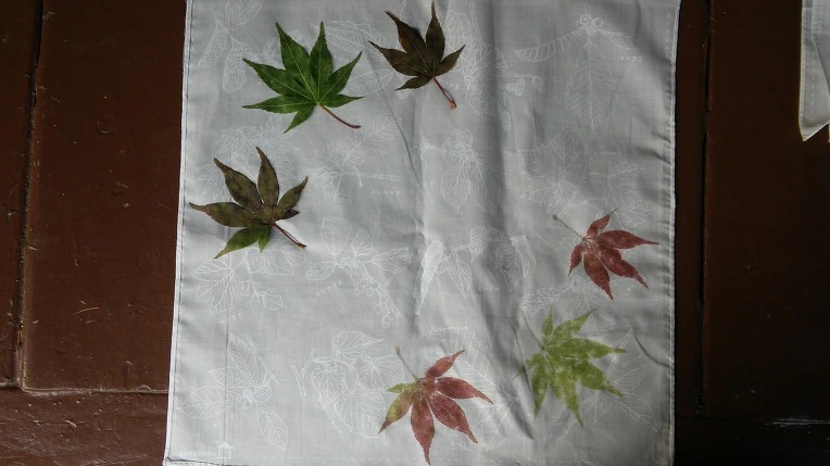 211E3F3C5620A66C322BF0