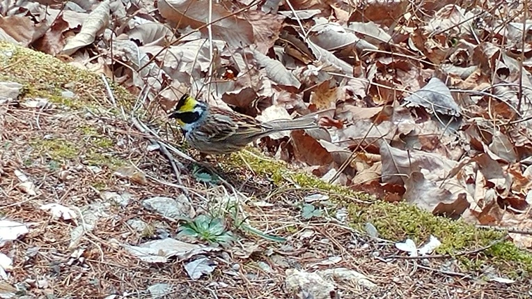 999DDC425AC8A2851AD44C