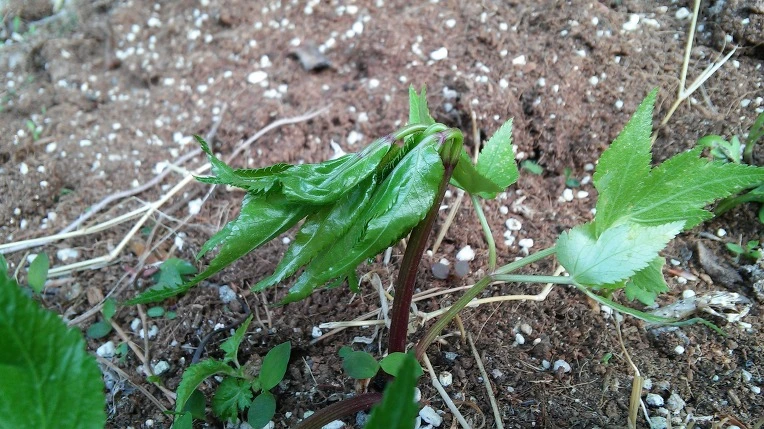 220F213C5909CAA4026A10