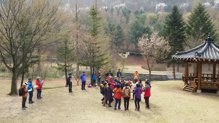 266AA55057095DED19EC21