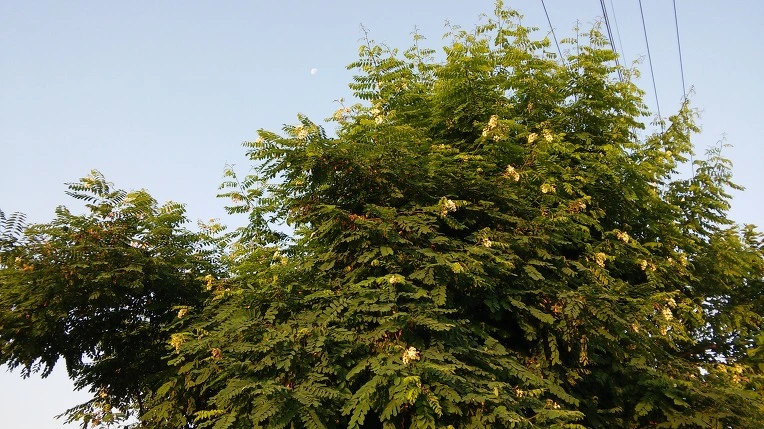 2609DE50576F7D1E2824F4