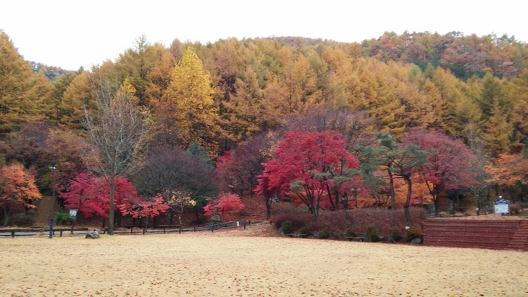 2216A23B563D846B1B0863