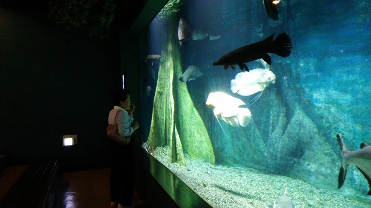 211C3E3C593C76083963B4