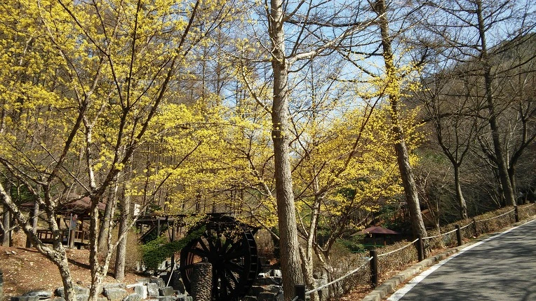 261AFF37551F527C18E4B6