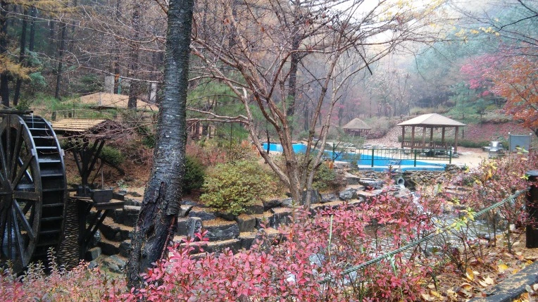 25165E3D57AE9429279369