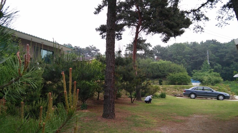 23518B33574A181617F1DA