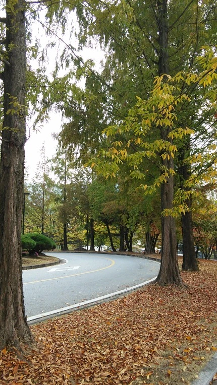 2110A837562A9FC22F6E51