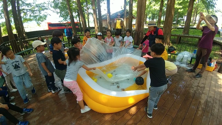 994EAA3F5B57C1241DD601