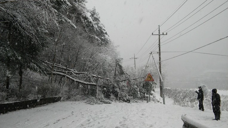 265FD03E566008DF209113