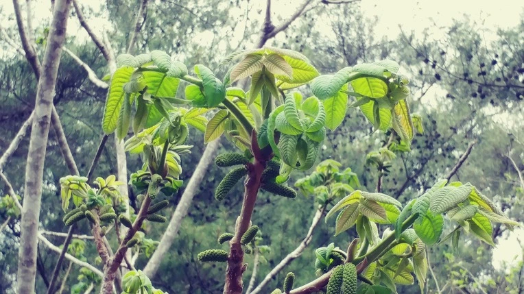 99331B3B5EBE1EE22B1D51