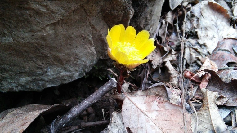 2469D23758940155236DFB