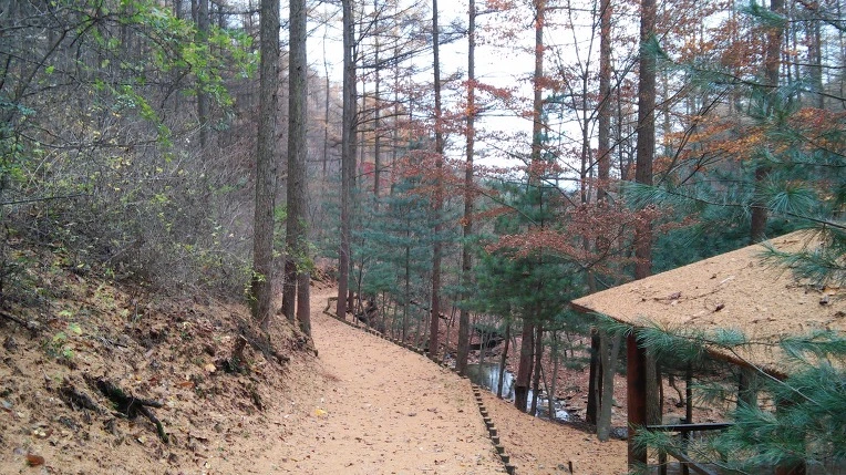 227BA43C564D16DC08C4E7