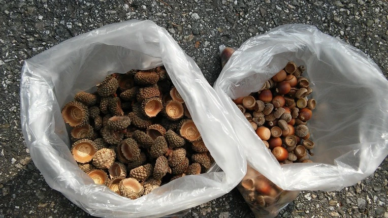 2351483B5615C2F4152518