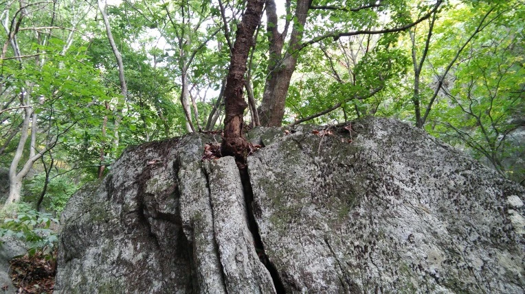 272E6042560FBC8635D383