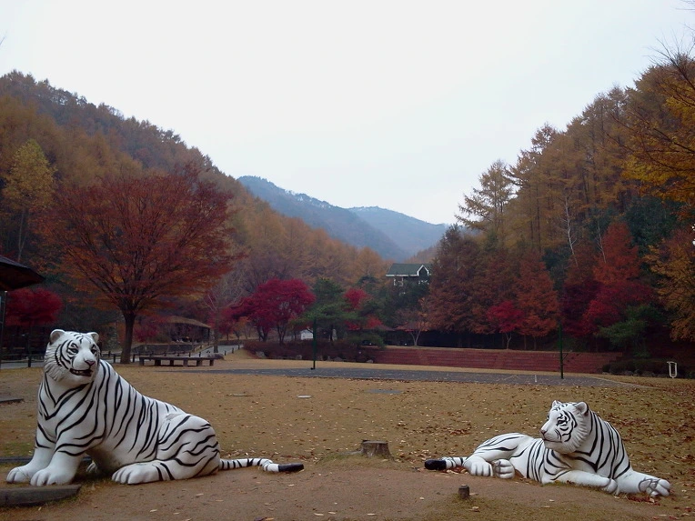 1456E44A5125A0F71EF7B3